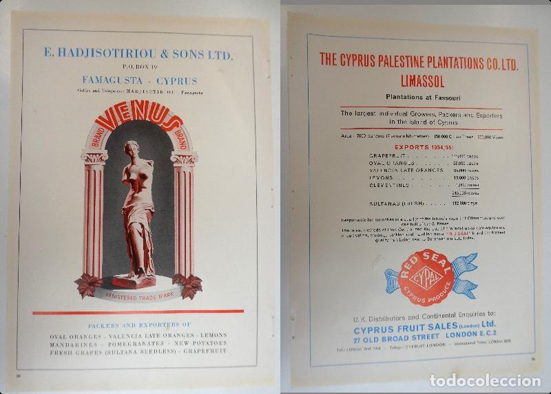 Advertising Catalogs: Recorte publicitario de frutas, a&ntilde;os 50 mide 20X30 cm