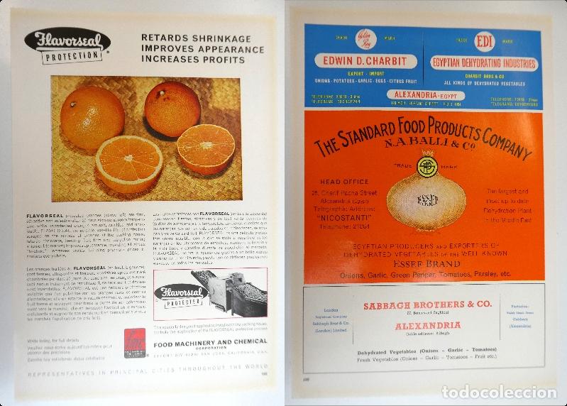 Advertising Catalogs: Recorte publicitario de frutas, a&ntilde;os 50 mide 20X30 cm