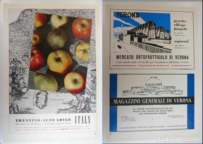 Cataloghi pubblicitari: Recorte publicitario de frutas, a&ntilde;os 50 mide 20X30 cm