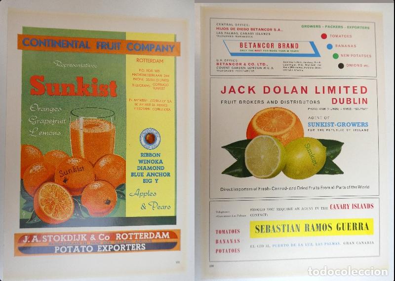 Werbekataloge: Recorte publicitario de frutas, a&ntilde;os 50 mide 20X30 cm