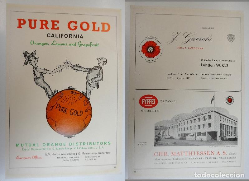 Cat&aacute;logos publicitarios: Recorte publicitario de frutas , a&ntilde;os 50 mide 20X30 cm