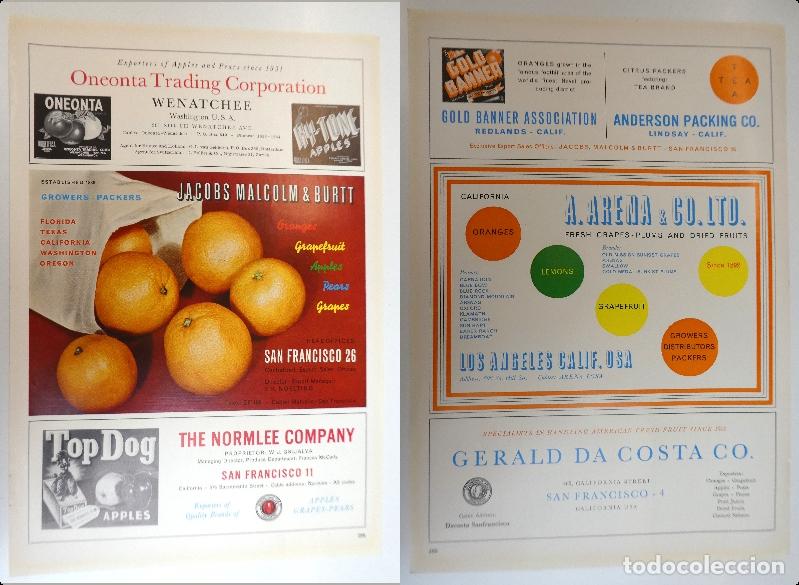 Cat&aacute;logos publicitarios: Recorte publicitario de frutas , a&ntilde;os 50 mide 20X30 cm