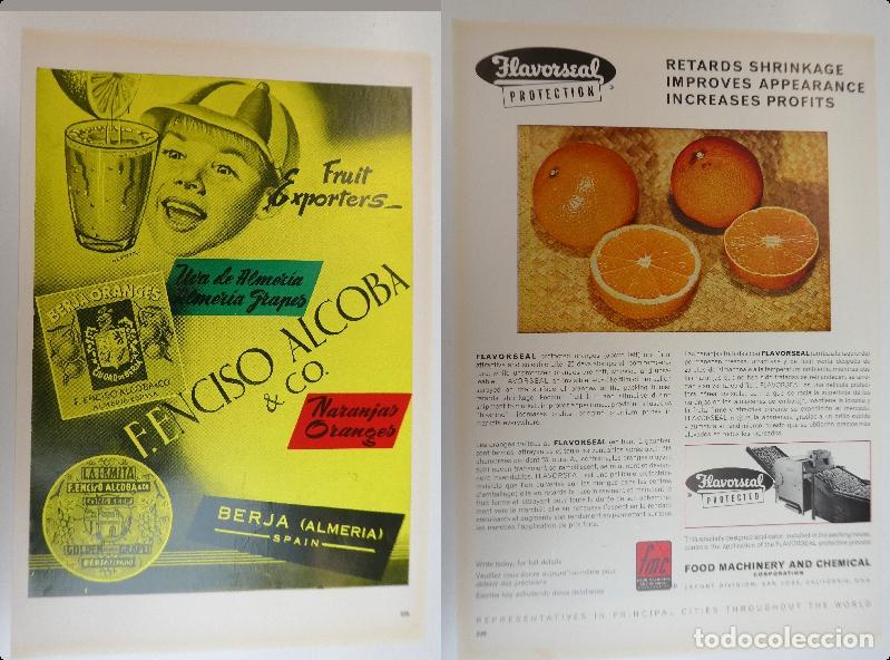 Cat&aacute;logos publicitarios: Recorte publicitario de frutas Francisco Alcoba Berja Almeria, a&ntilde;os 50 mide 20X30 cm