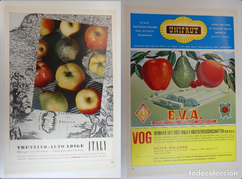 Cat&aacute;logos publicitarios: Recorte publicitario de frutas , a&ntilde;os 50 mide 20X30 cm