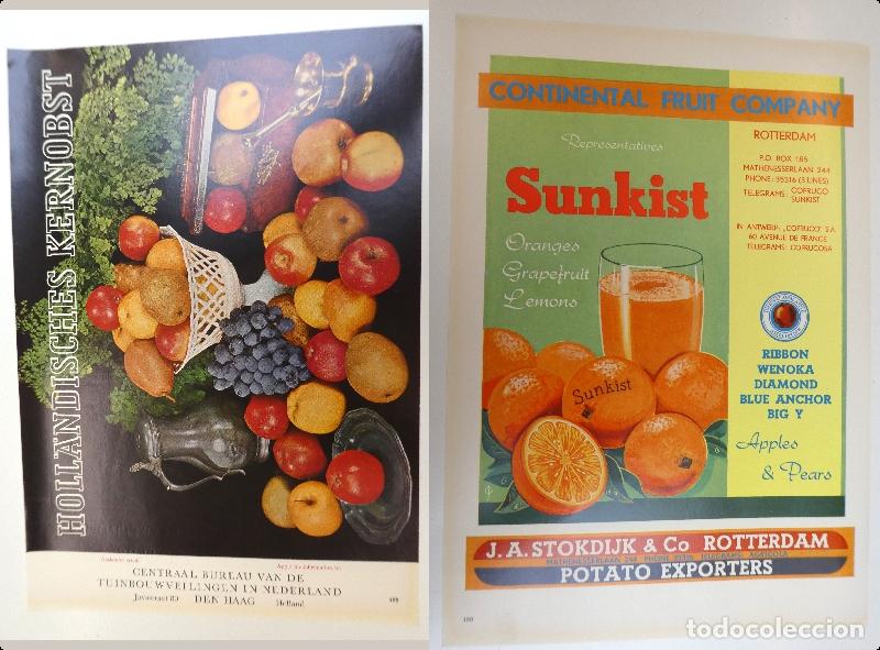 Cat&aacute;logos publicitarios: Recorte publicitario de frutas , a&ntilde;os 50 mide 20X30 cm