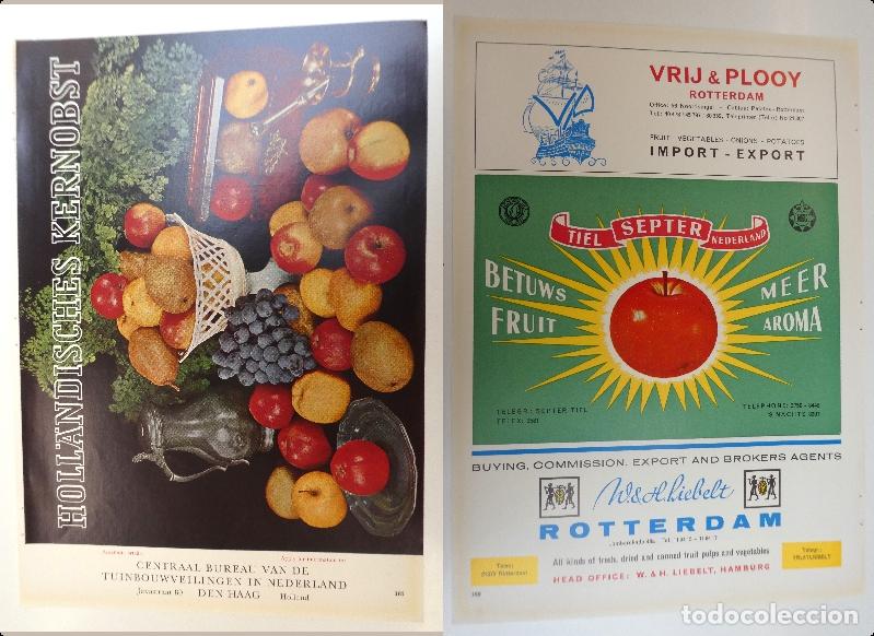 Cat&aacute;logos publicitarios: Recorte publicitario de frutas , a&ntilde;os 50 mide 20X30 cm