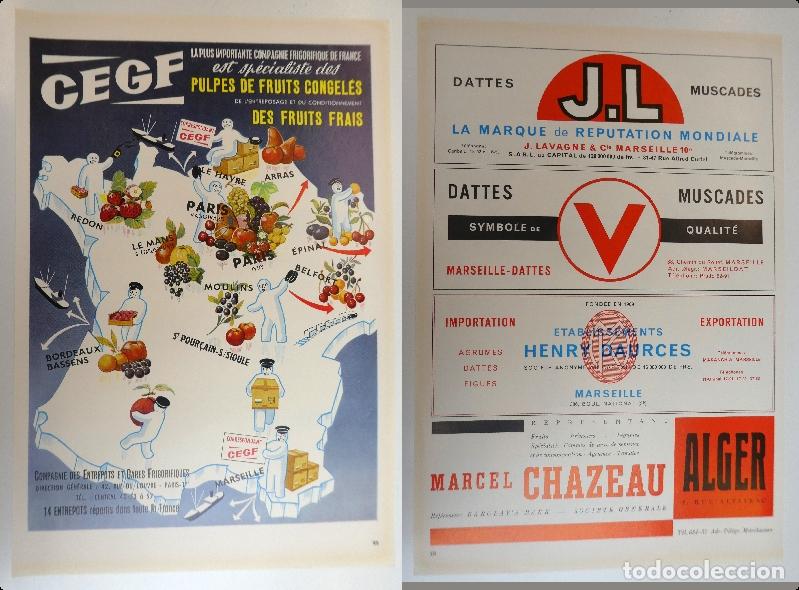 Cat&aacute;logos publicitarios: Recorte publicitario de frutas , a&ntilde;os 50 mide 20X30 cm
