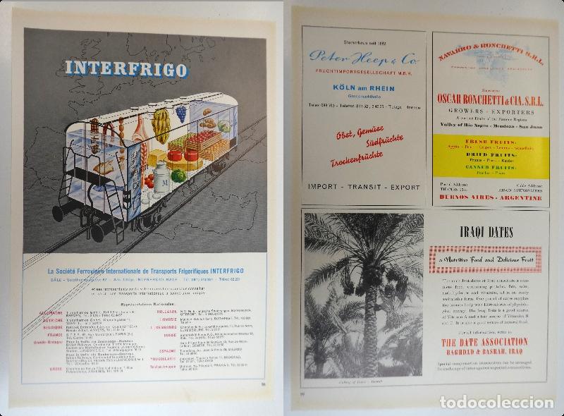 Cat&aacute;logos publicitarios: Recorte publicitario de frutas , a&ntilde;os 50 mide 20X30 cm
