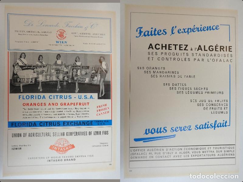 Cataloghi pubblicitari: Recorte publicitario de frutas , a&ntilde;os 50 mide 20X30 cm