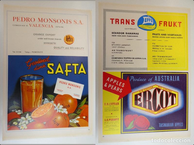 Advertising Catalogs: Recorte publicitario de frutas Pedro Monsonis Valencia, a&ntilde;os 50 mide 20X30 cm