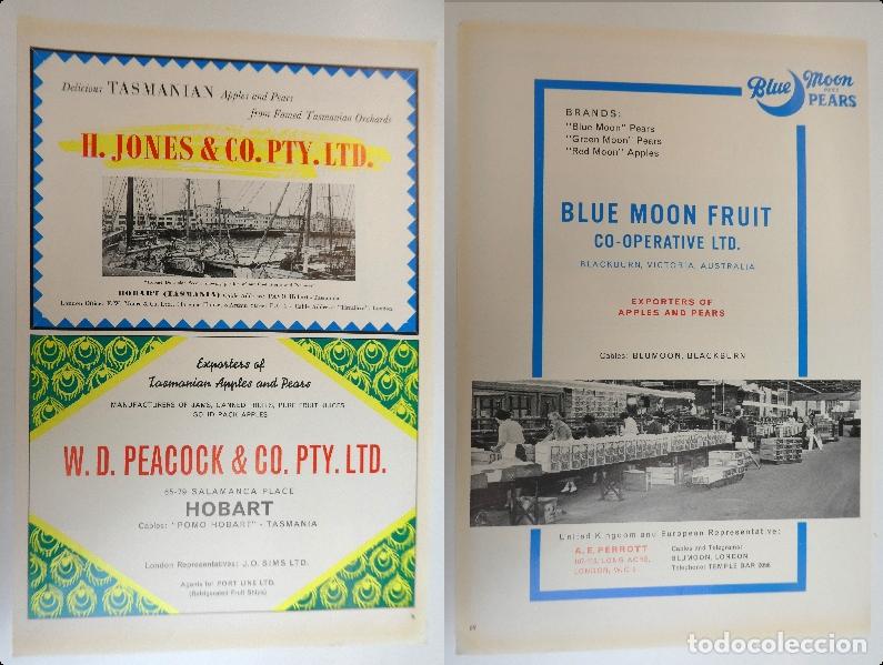Advertising Catalogs: Recorte publicitario de frutas , a&ntilde;os 50 mide 20X30 cm