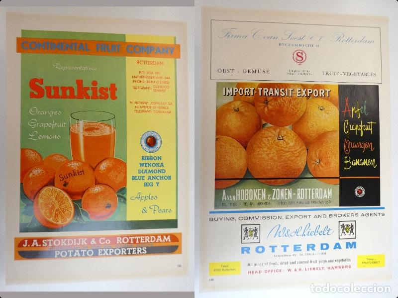 Advertising Catalogs: Recorte publicitario de frutas , a&ntilde;os 50 mide 20X30 cm