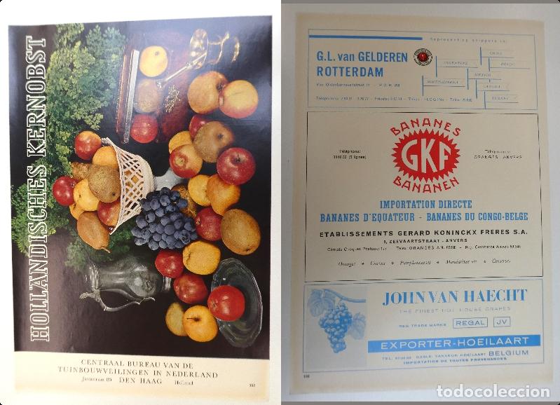 Cat&aacute;logos publicitarios: Recorte publicitario de frutas , a&ntilde;os 50 mide 20X30 cm