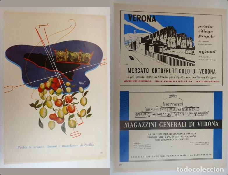 Cat&aacute;logos publicitarios: Recorte publicitario de frutas , a&ntilde;os 50 mide 20X30 cm