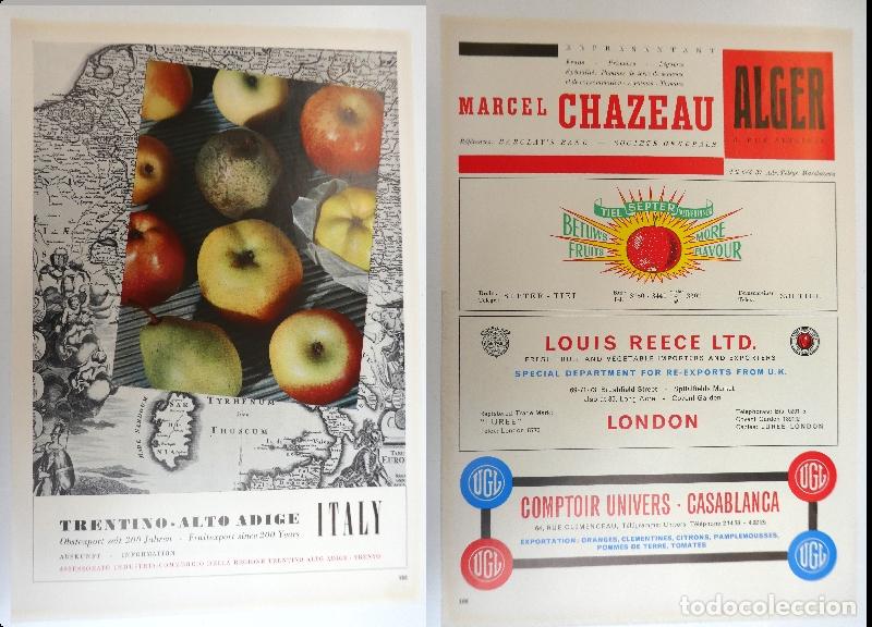 Cat&aacute;logos publicitarios: Recorte publicitario de frutas , a&ntilde;os 50 mide 20X30 cm