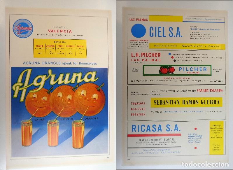 Cat&aacute;logos publicitarios: Recorte publicitario de frutas Agruna Valencia, a&ntilde;os 50 mide 20X30 cm