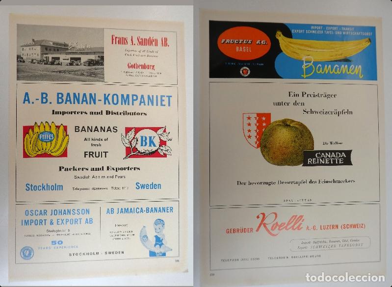 Cat&aacute;logos publicitarios: Recorte publicitario de frutas , a&ntilde;os 50 mide 20X30 cm