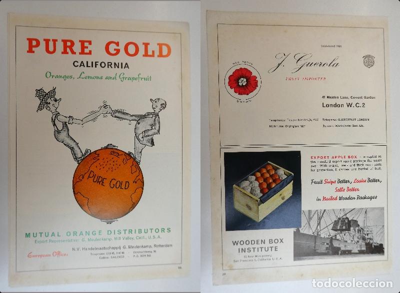 Cat&aacute;logos publicitarios: Recorte publicitario de frutas , a&ntilde;os 50 mide 20X30 cm