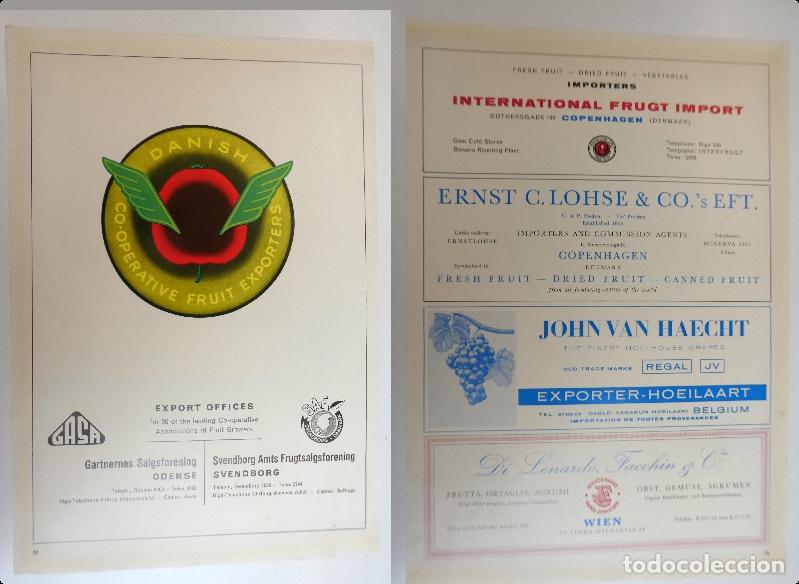 Cat&aacute;logos publicitarios: Recorte publicitario de frutas , a&ntilde;os 50 mide 20X30 cm