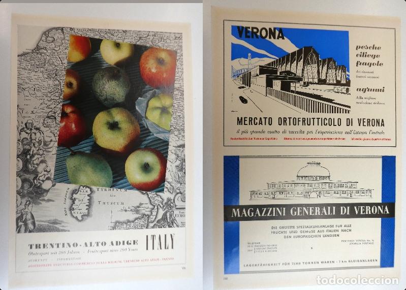 Cat&aacute;logos publicitarios: Recorte publicitario de frutas , a&ntilde;os 50 mide 20X30 cm