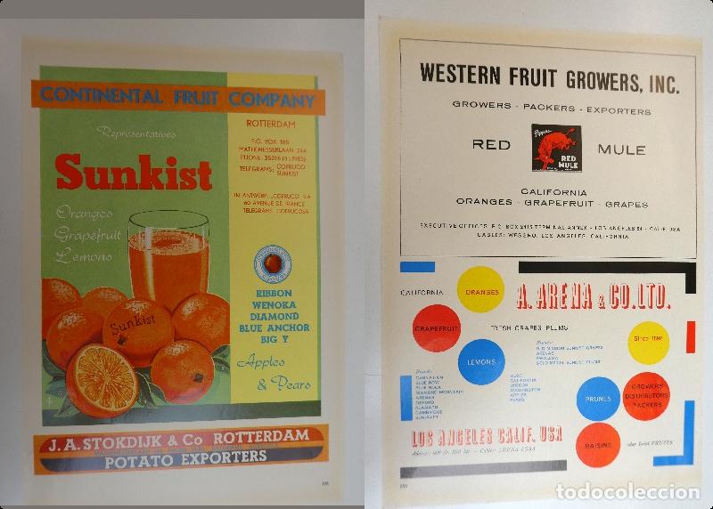 Cat&aacute;logos publicitarios: Recorte publicitario de frutas , a&ntilde;os 50 mide 20X30 cm