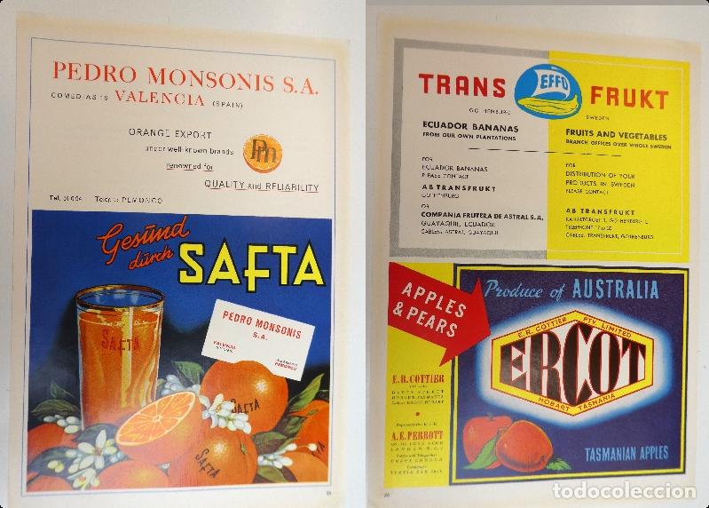 Cat&aacute;logos publicitarios: Recorte publicitario de frutas Pedro Monsonis Valencia, a&ntilde;os 50 mide 20X30 cm