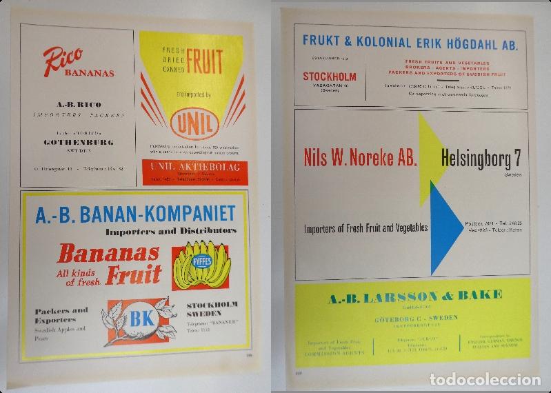 Cat&aacute;logos publicitarios: Recorte publicitario de frutas Pedro Monsonis Valencia, a&ntilde;os 50 mide 20X30 cm
