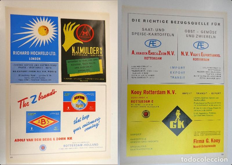 Cat&aacute;logos publicitarios: Recorte publicitario de frutas Pedro Monsonis Valencia, a&ntilde;os 50 mide 20X30 cm