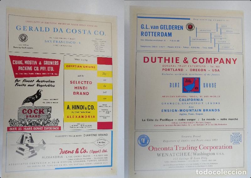 Cat&aacute;logos publicitarios: Recorte publicitario de frutas , a&ntilde;os 50 mide 20X30 cm