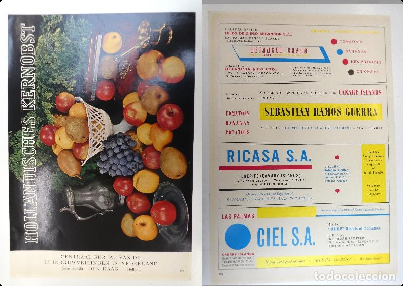 Cat&aacute;logos publicitarios: Recorte publicitario de frutas , a&ntilde;os 50 mide 20X30 cm