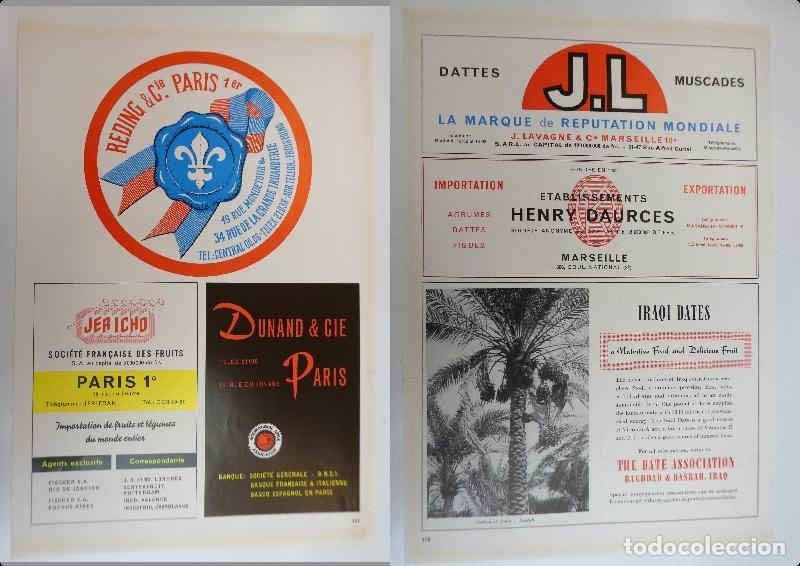 Cat&aacute;logos publicitarios: Recorte publicitario de frutas , a&ntilde;os 50 mide 20X30 cm