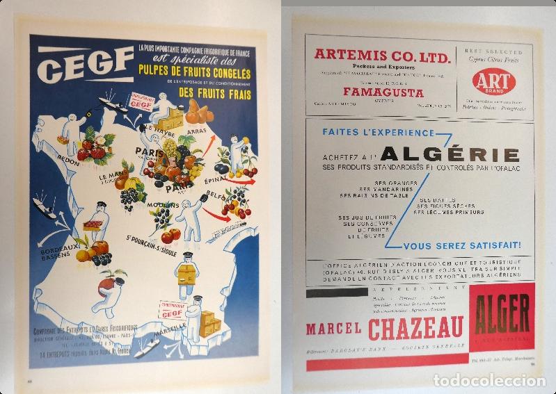 Cat&aacute;logos publicitarios: Recorte publicitario de frutas , a&ntilde;os 50 mide 20X30 cm