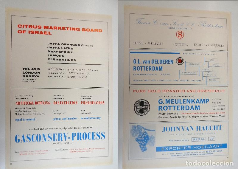 Cat&aacute;logos publicitarios: Recorte publicitario de frutas , a&ntilde;os 50 mide 20X30 cm