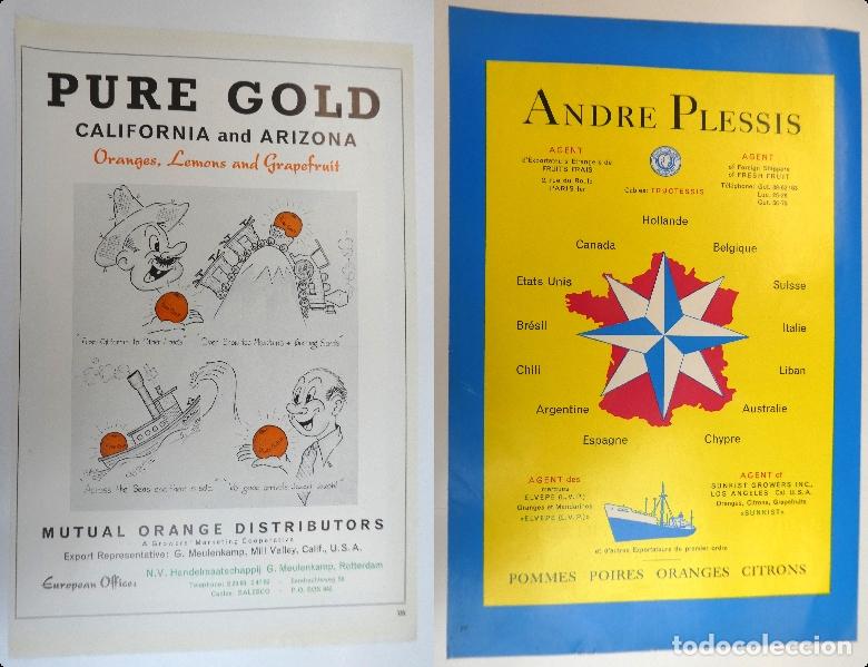 Cat&aacute;logos publicitarios: Recorte publicitario de frutas , a&ntilde;os 50 mide 20X30 cm