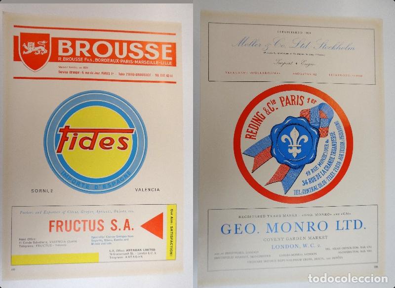 Cat&aacute;logos publicitarios: Recorte publicitario de frutas , a&ntilde;os 50 mide 20X30 cm