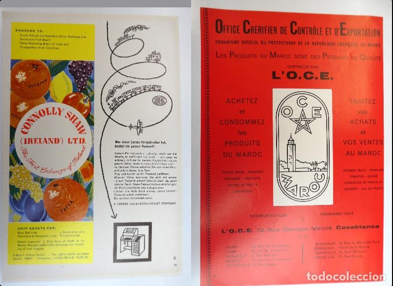 Cat&aacute;logos publicitarios: Recorte publicitario de frutas , a&ntilde;os 50 mide 20X30 cm