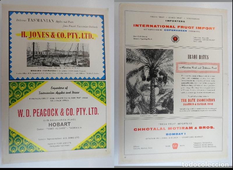 Cat&aacute;logos publicitarios: Recorte publicitario de frutas , a&ntilde;os 50 mide 20X30 cm
