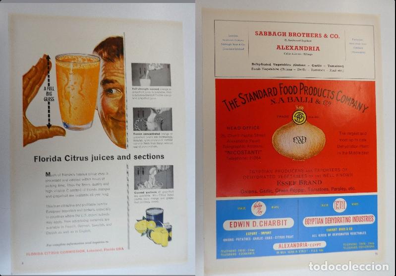 Cat&aacute;logos publicitarios: Recorte publicitario de frutas , a&ntilde;os 50 mide 20X30 cm
