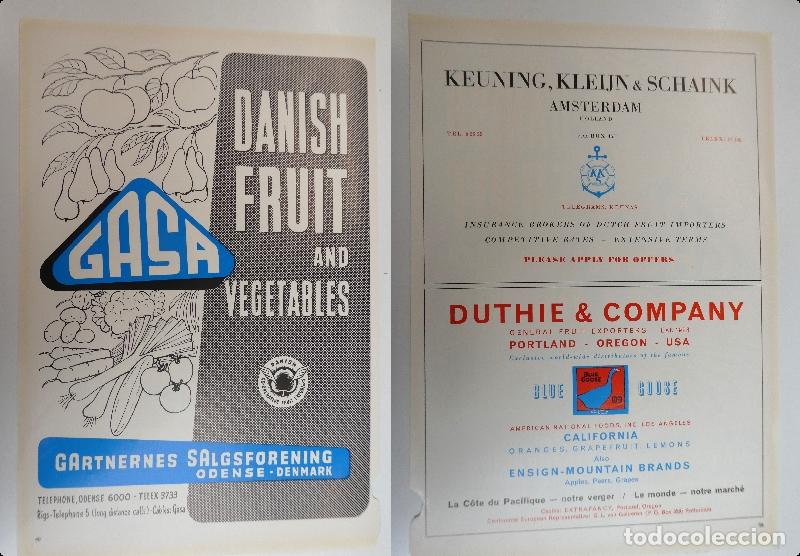 Cat&aacute;logos publicitarios: Recorte publicitario de frutas , a&ntilde;os 50 mide 20X30 cm