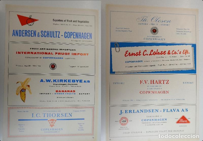 Cat&aacute;logos publicitarios: Recorte publicitario de frutas , a&ntilde;os 50 mide 20X30 cm