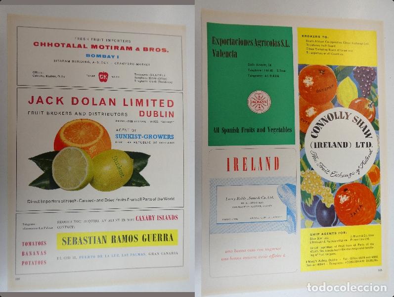 Cat&aacute;logos publicitarios: Recorte publicitario de frutas , a&ntilde;os 50 mide 20X30 cm