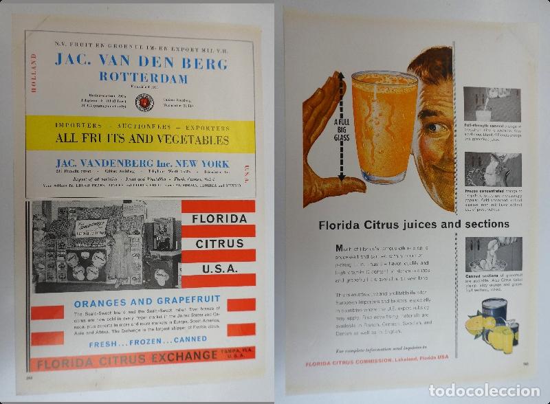 Cat&aacute;logos publicitarios: Recorte publicitario de frutas , a&ntilde;os 50 mide 20X30 cm