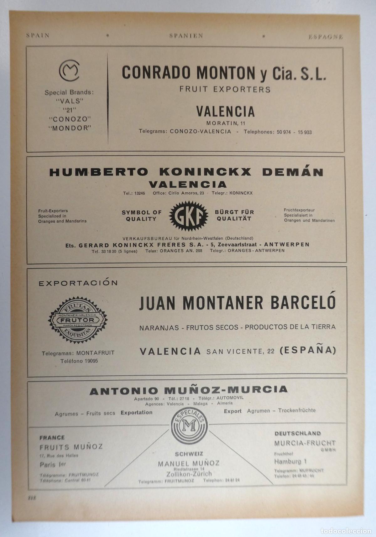 Cat&aacute;logos publicitarios: Recorte publicitario de frutas de Valencia y Murcia, a&ntilde;os 50 mide 20X30 cm
