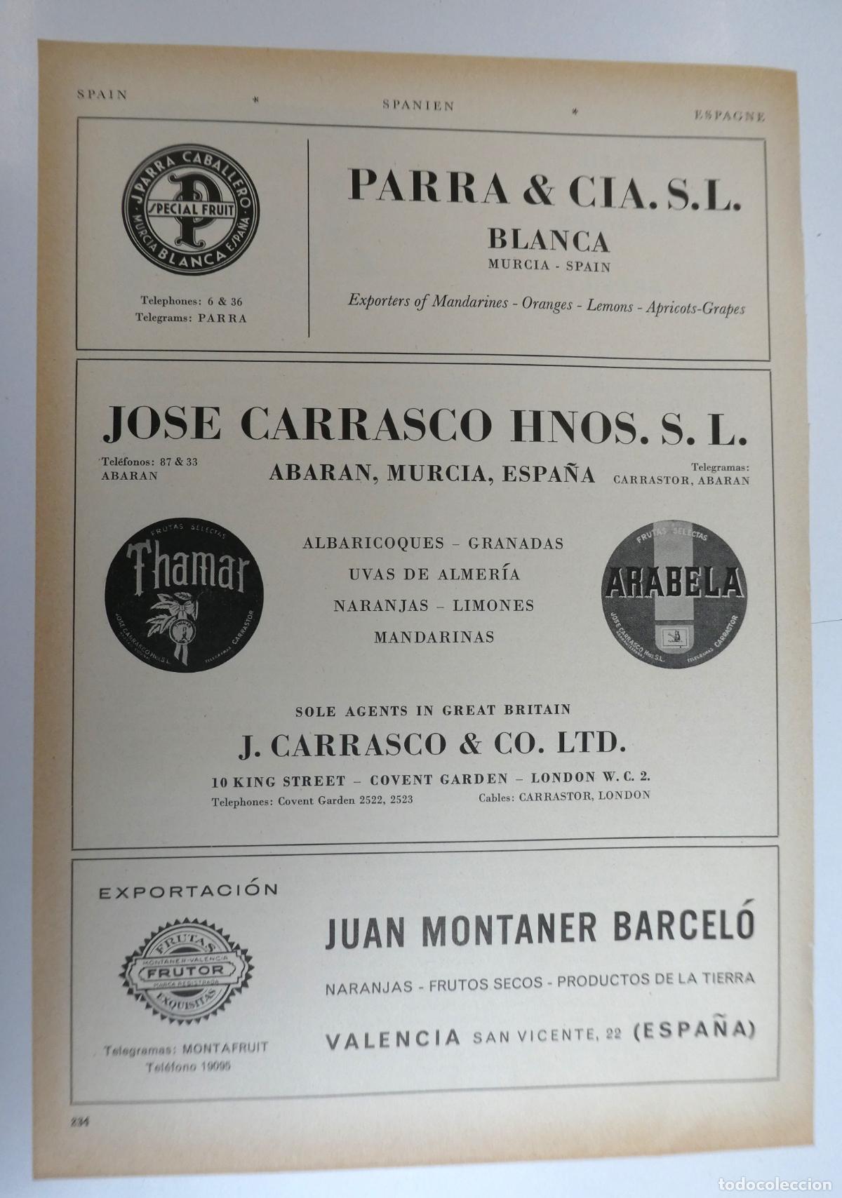 Cat&aacute;logos publicitarios: Recorte publicitario de frutas de Valencia y Murcia, a&ntilde;os 50 mide 20X30 cm
