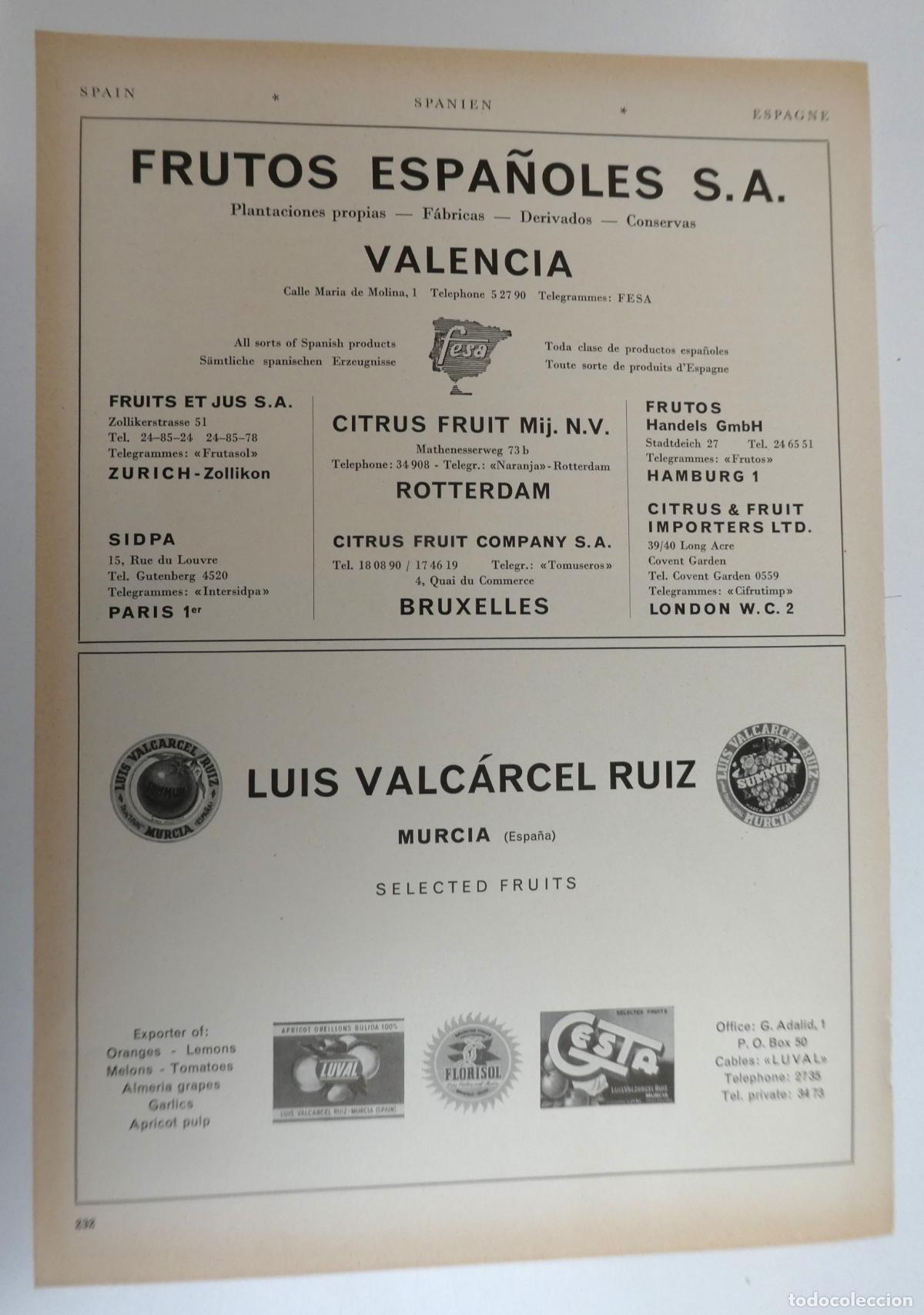 Cat&aacute;logos publicitarios: Recorte publicitario de frutas de Valencia y Murcia, a&ntilde;os 50 mide 20X30 cm