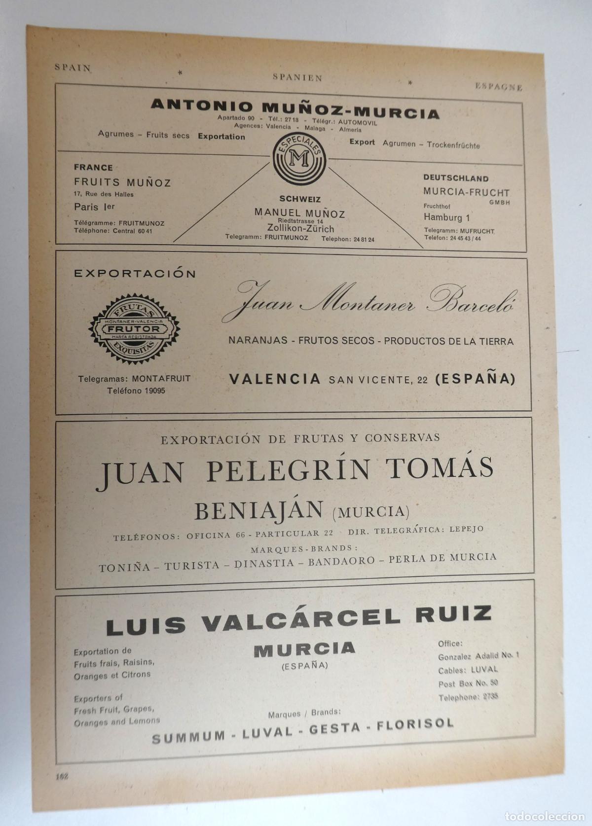 Cat&aacute;logos publicitarios: Recorte publicitario de frutas de Valencia y Murcia, a&ntilde;os 50 mide 20X30 cm