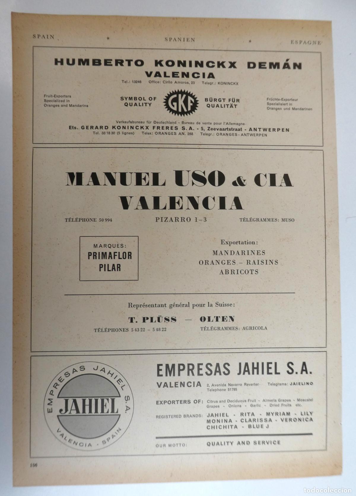 Cat&aacute;logos publicitarios: Recorte publicitario de frutas de Valencia , a&ntilde;os 50 mide 20X30 cm