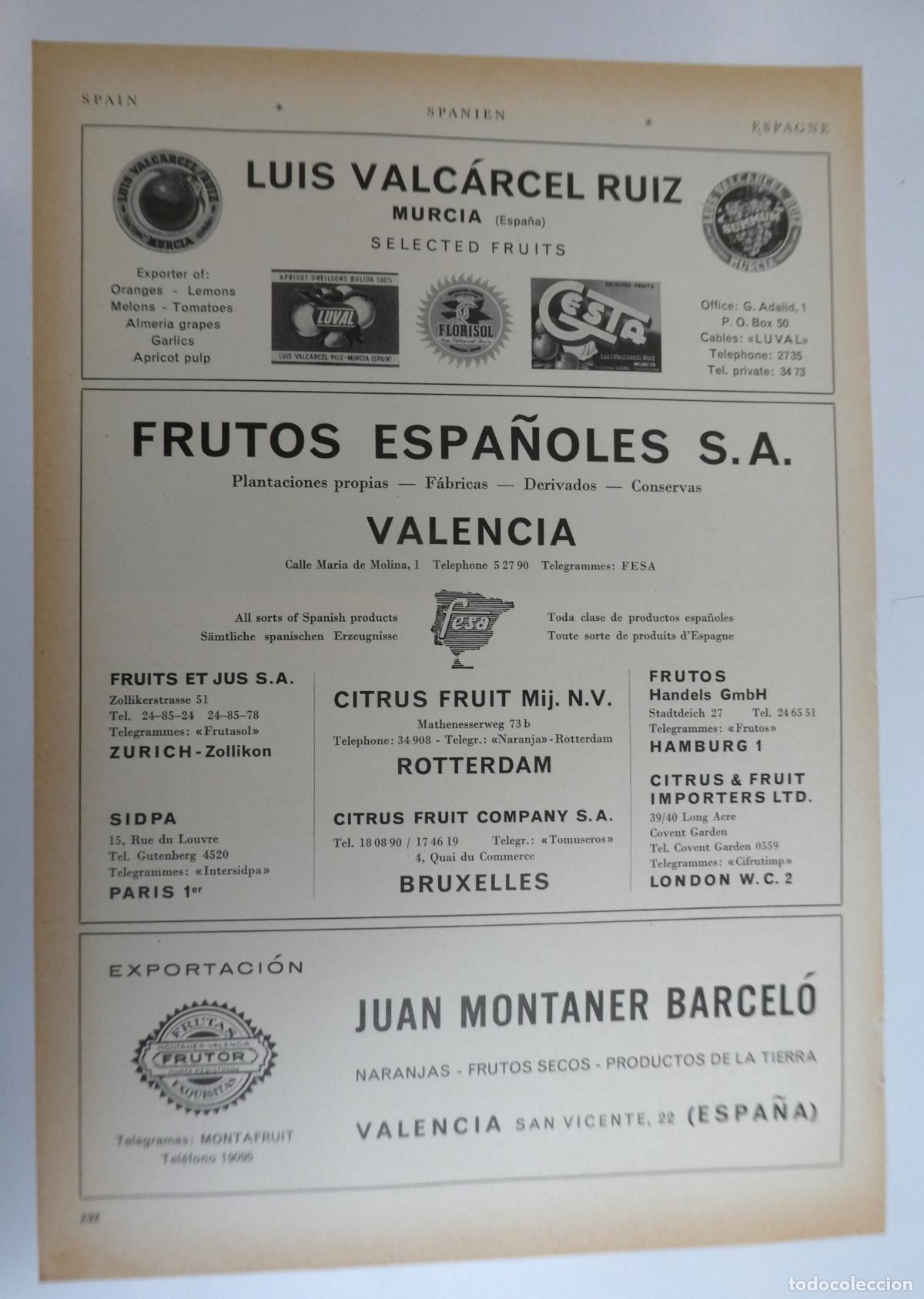 Cat&aacute;logos publicitarios: Recorte publicitario de frutas de Valencia y Murcia, a&ntilde;os 50 mide 20X30 cm