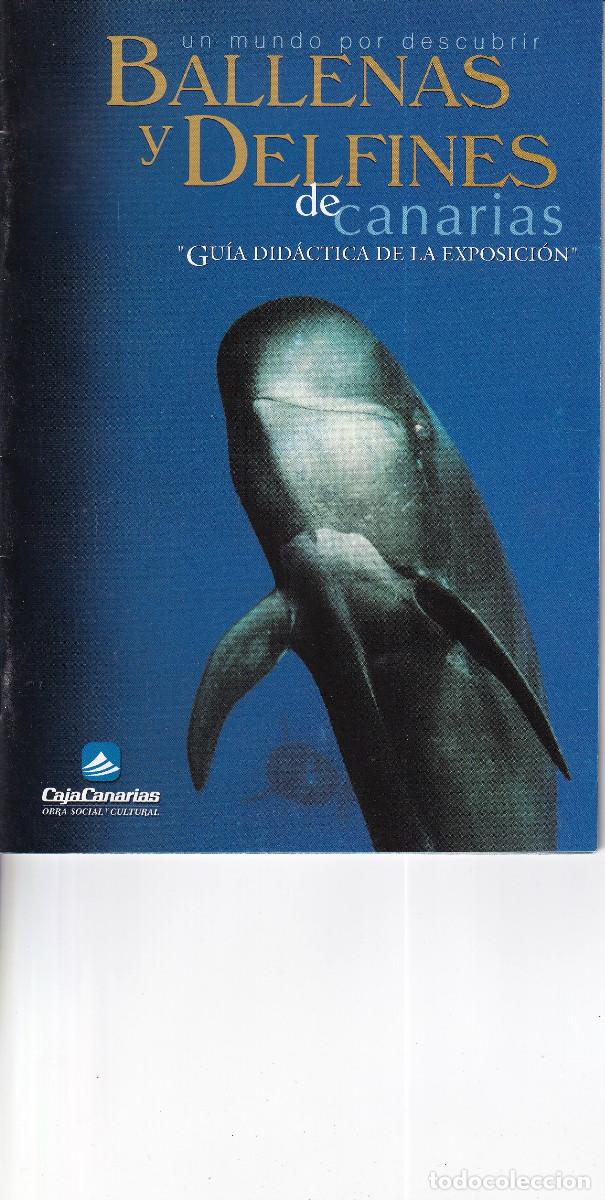 Cat&aacute;logos publicitarios: BALLENAS Y DELFINES DE CANARIAS - Foto 1