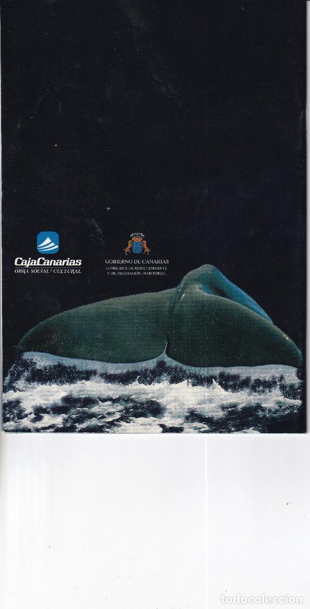 Cat&aacute;logos publicitarios: BALLENAS Y DELFINES DE CANARIAS - Foto 2